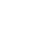 CYBHER LOGO